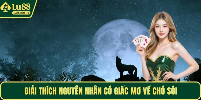 Giải thích nguyên nhân có giấc mơ về chó sói