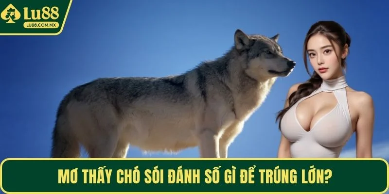 Mơ thấy chó sói đánh số gì để trúng lớn?